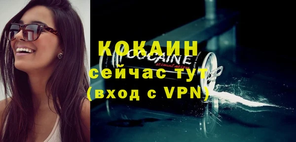 индика Верея