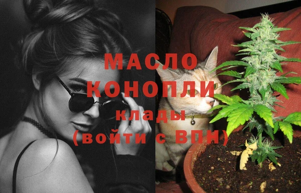 дживик Бородино