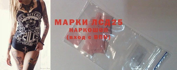 дживик Бородино