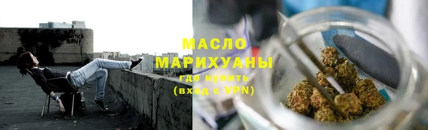 дживик Бородино