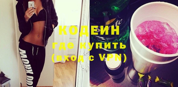 индика Верея