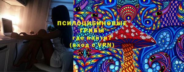 дживик Бородино
