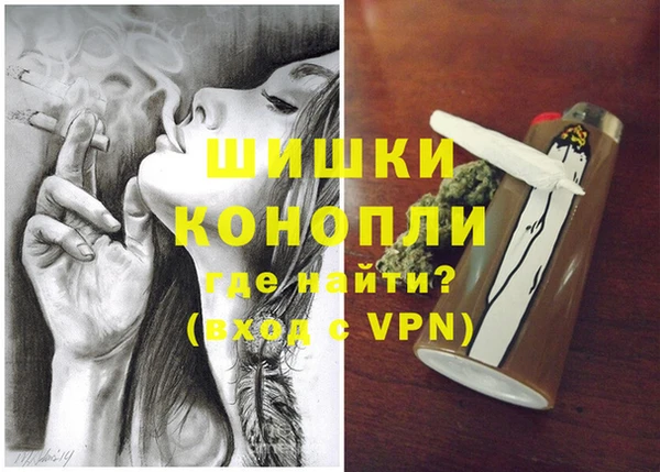 индика Верея