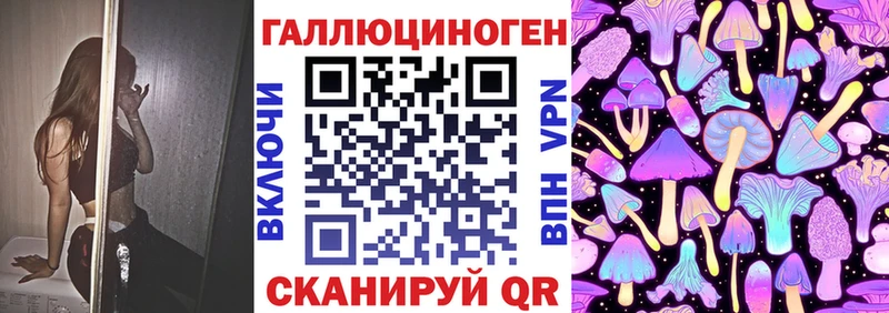 магазин продажи   Кинешма  Галлюциногенные грибы Psilocybe 